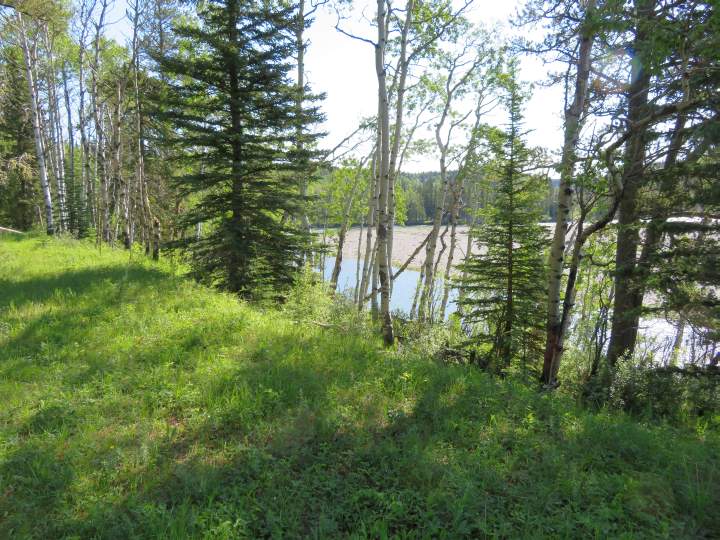 Starting out at Fullerton Loop hiking trail - Elbow River view
