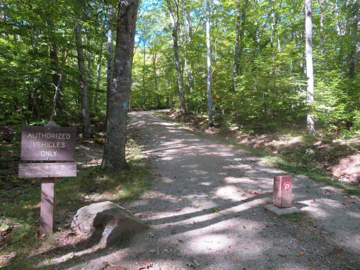 Road to Megunticook trail from campground at Camden Hills State Park