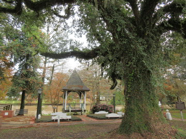The Legend of the Evangeline Oak in St Martinville Louisiana