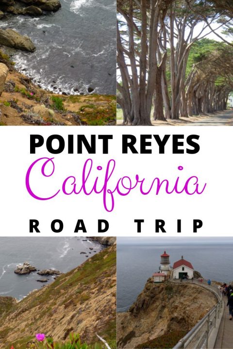 Point Reyes California Day Trips (Lighthouse and Beaches)