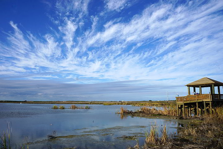 Port Aransas Birding Center
