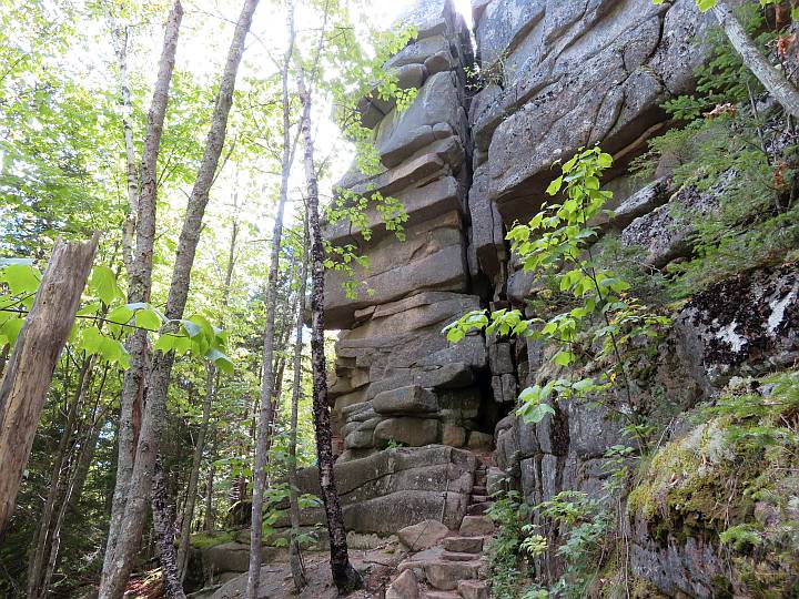 Rocky cliffside and trees at Cadillac Cliffs Trail Acadia National Park.