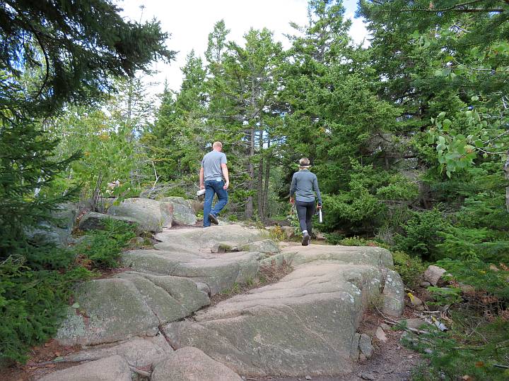 Two hikers walking on rock pathway in the forest.