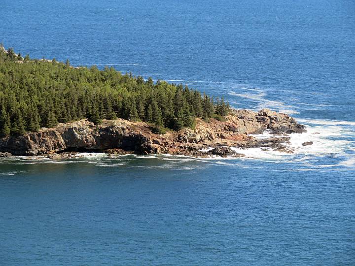 Pine trees and rocky coastline of Great Head at Acadia National Park.