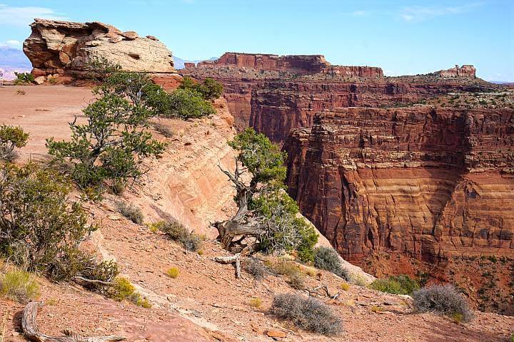 Sandstone rock canyon in Canyonlands National Park.