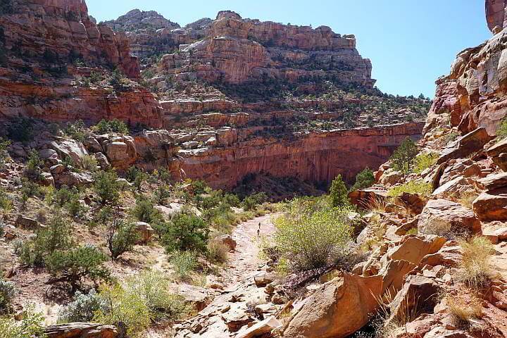 View of tall cliffs and 2 hikers on a trail, as seen via overhead view of Grand Wash trail in Capitol Reef park