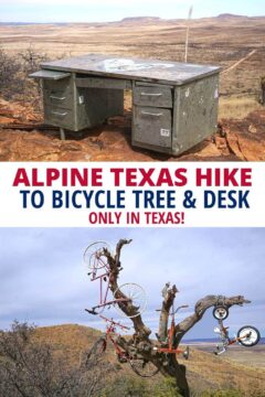 Alpine Texas hike to bicycle tree & desk - Only in Texas!
