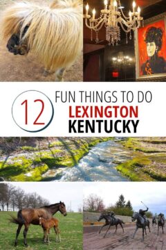 12 Fun Things to Do Lexington Kentucky - horses, hiking, bourbon.