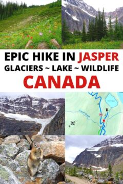 Epic hike in Jasper Glaciers Lake Wildlife Canada with images of wildflowers, glacier, squirrel, trail map.