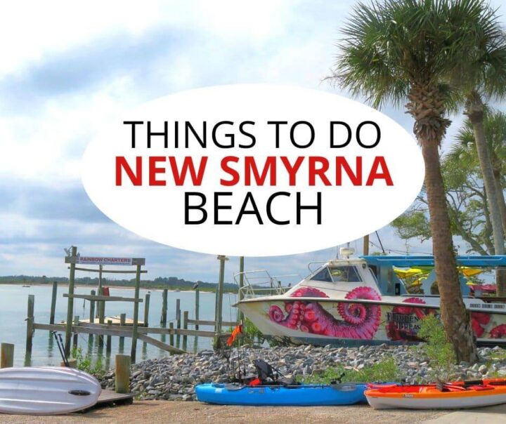 Graphic for Things to do New Smyrna Beach overlayed on coastal scene with palm trees, kayaks, and boat in the harbor.