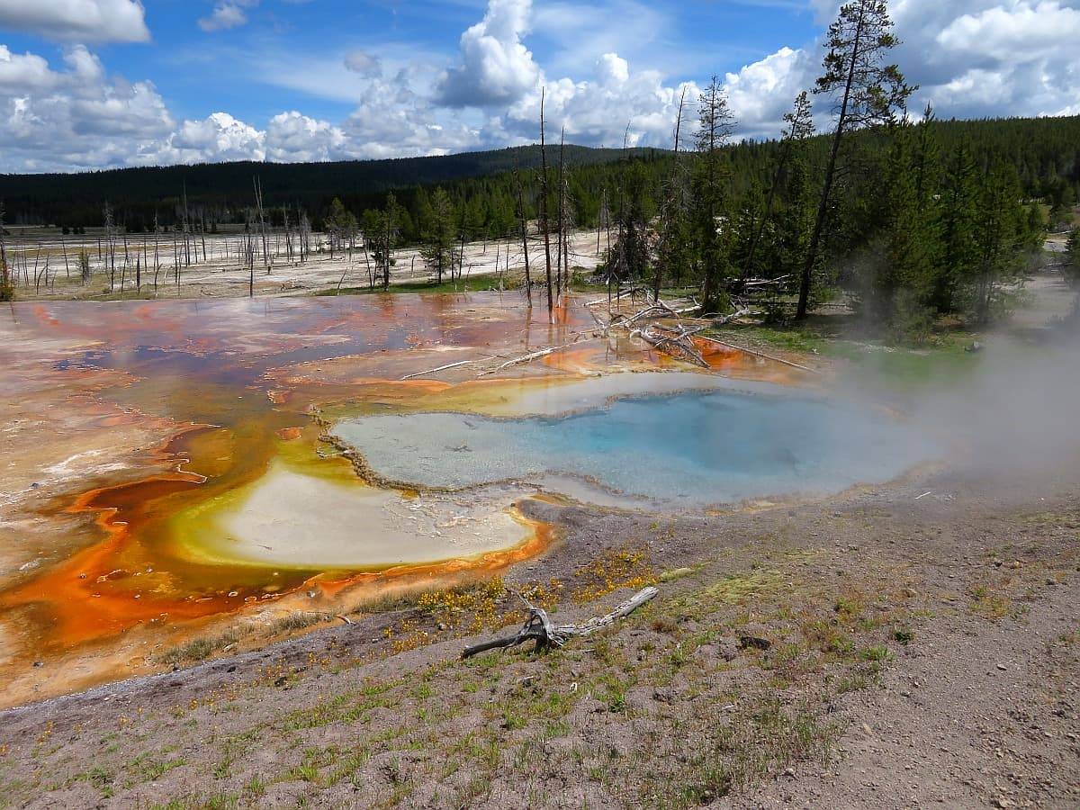 Orange, yellow, and blue hot springs at Firehole Lake Drive.