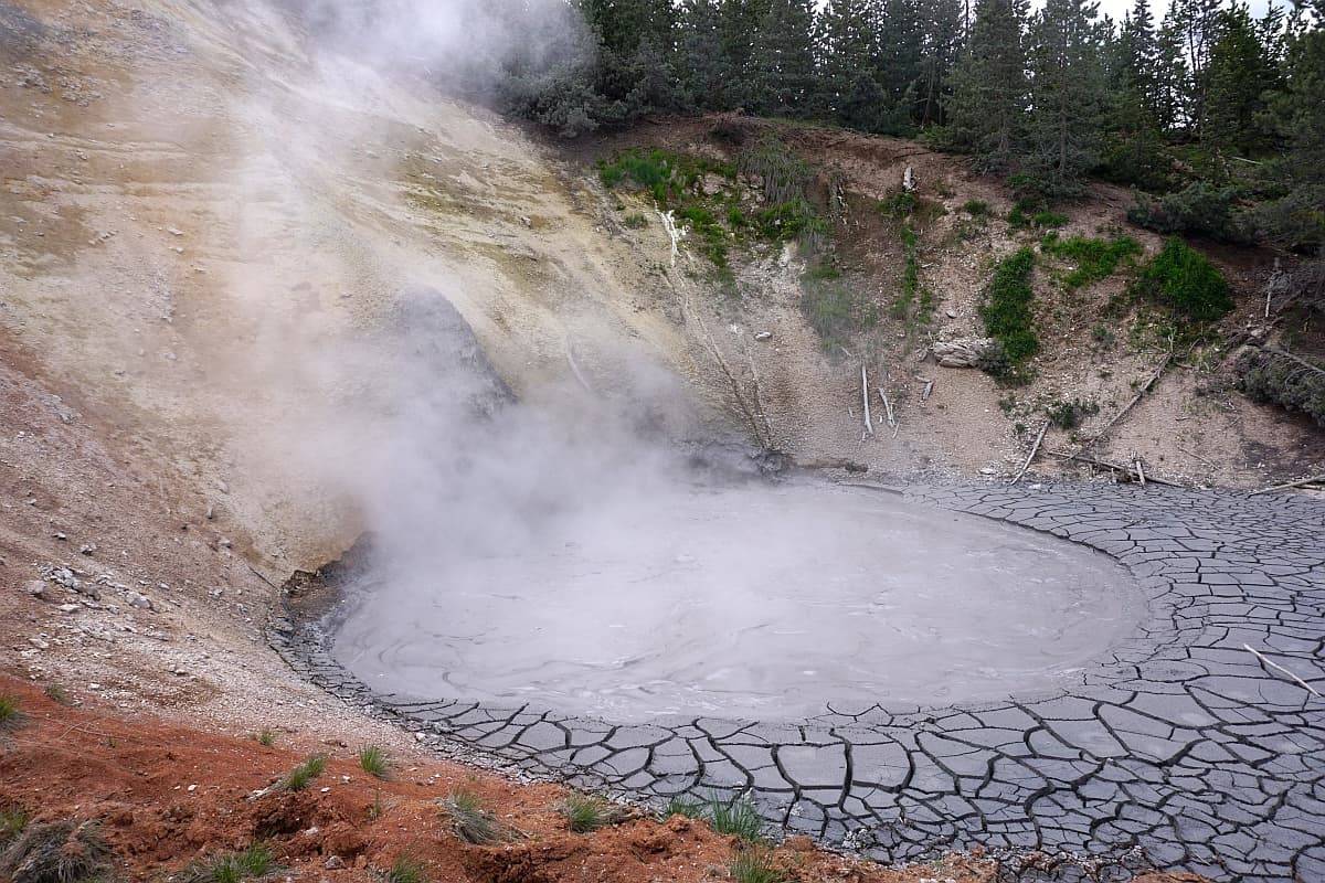Steam rises from mud volcano at Yellowstone.