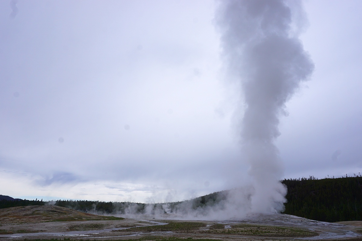 Old Faithful Geyser erupting at Yellowstone.