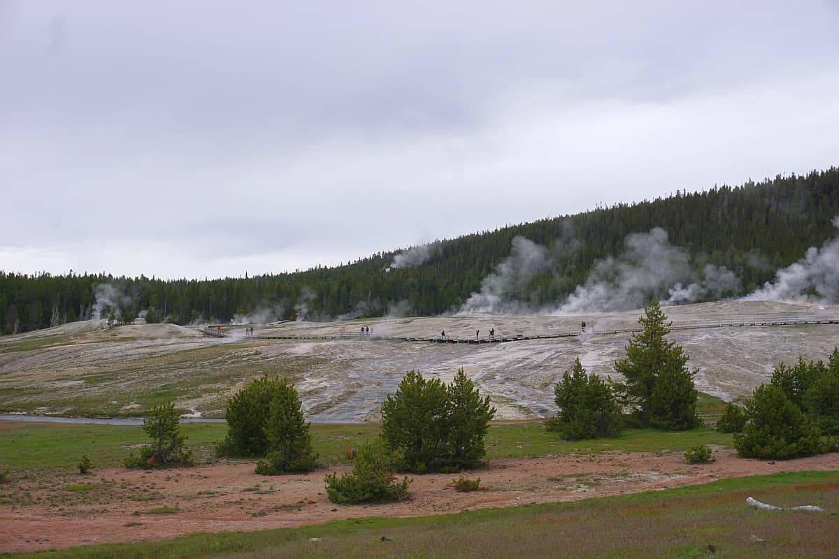 Upper Geyser Basin thermal features from a distance.