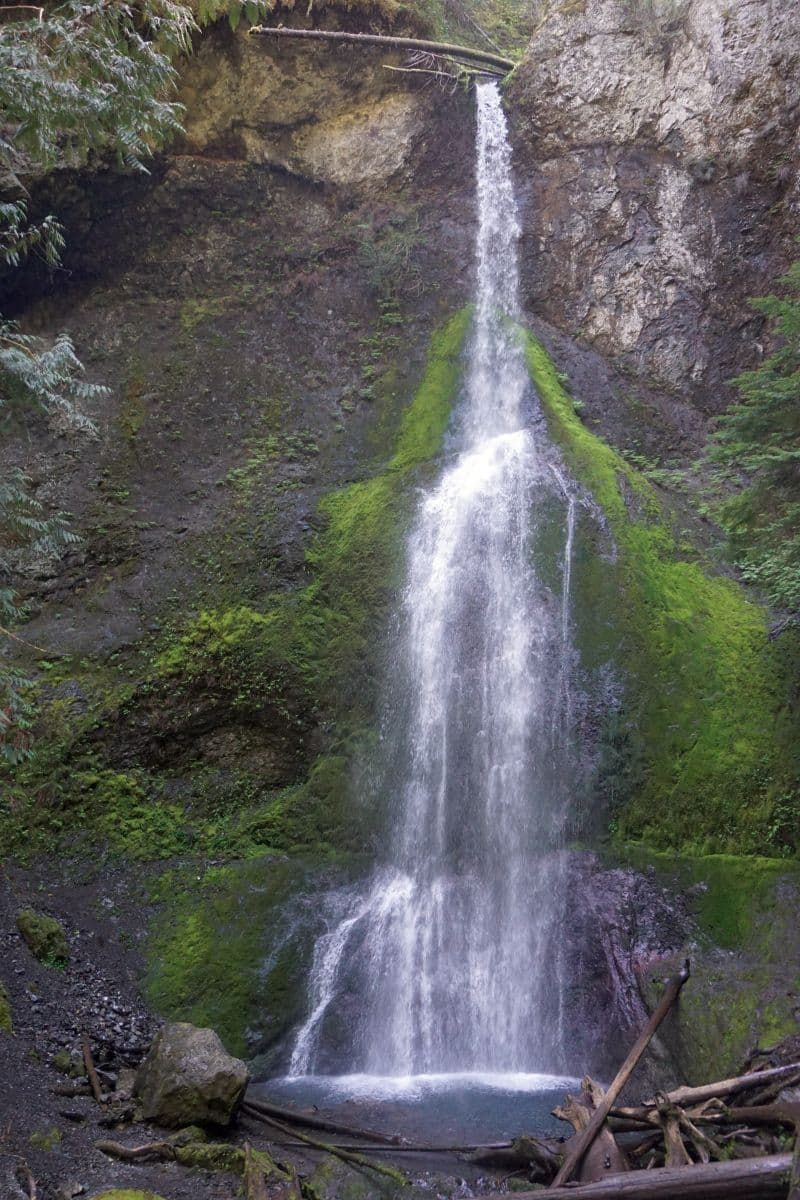 Marymere Falls is an short easy hike at Olympic National Park