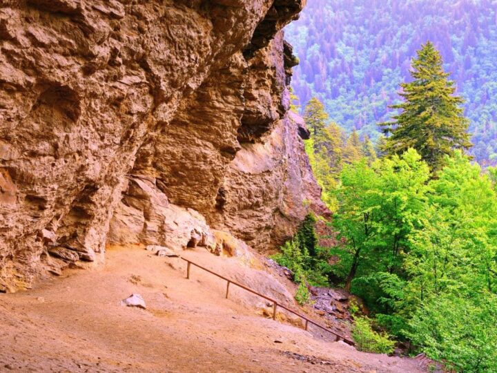 Alum Cave Trail in Smoky Mountain National Park.