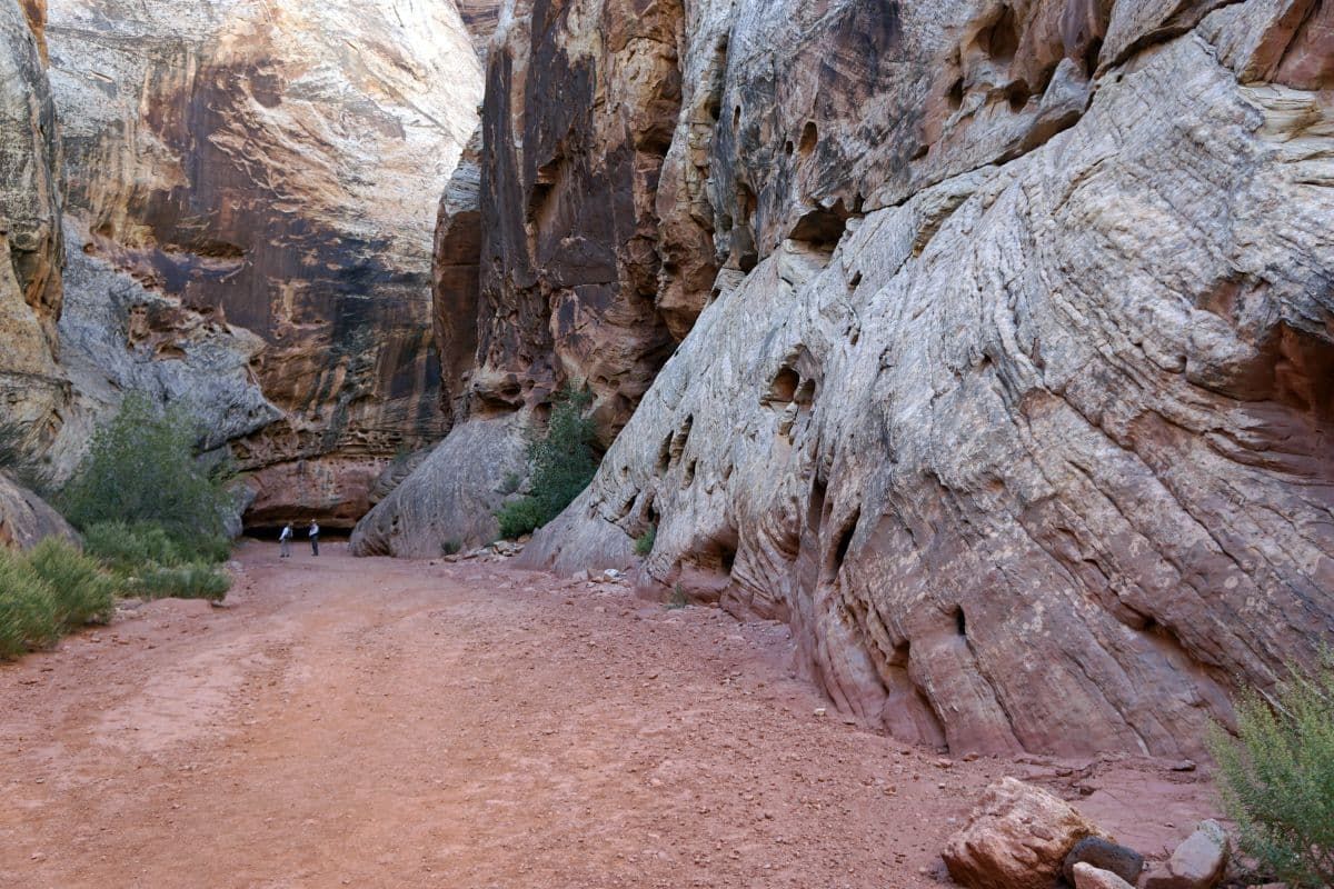 Hikers at Grand Wash Trail Capitol Reef.