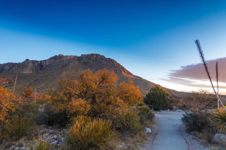 Scenic Chihuahuan Desert landscape at Guadalupe National Park Texas.