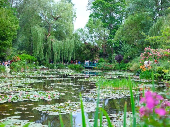 Monet's garden Giverny France.