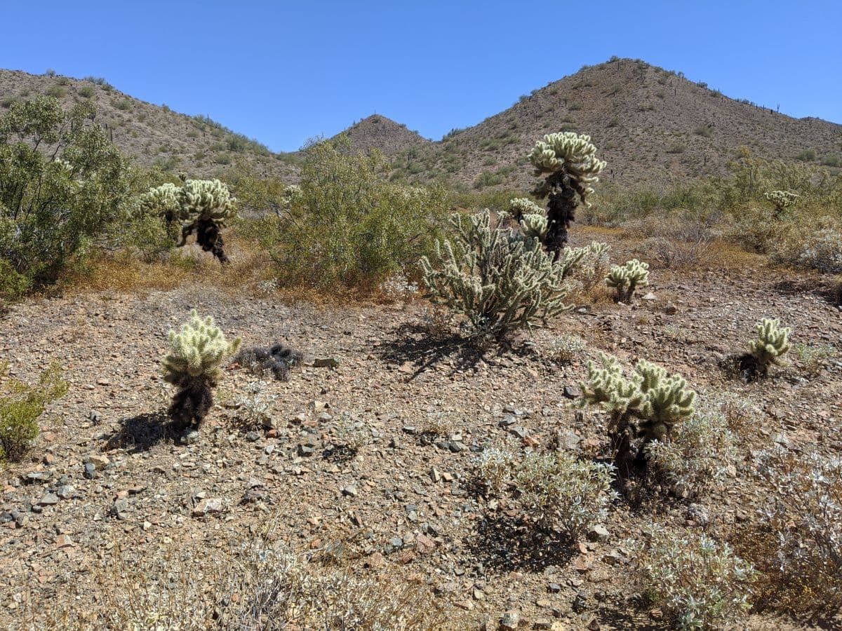 Phoenix Sonoran Preserve.