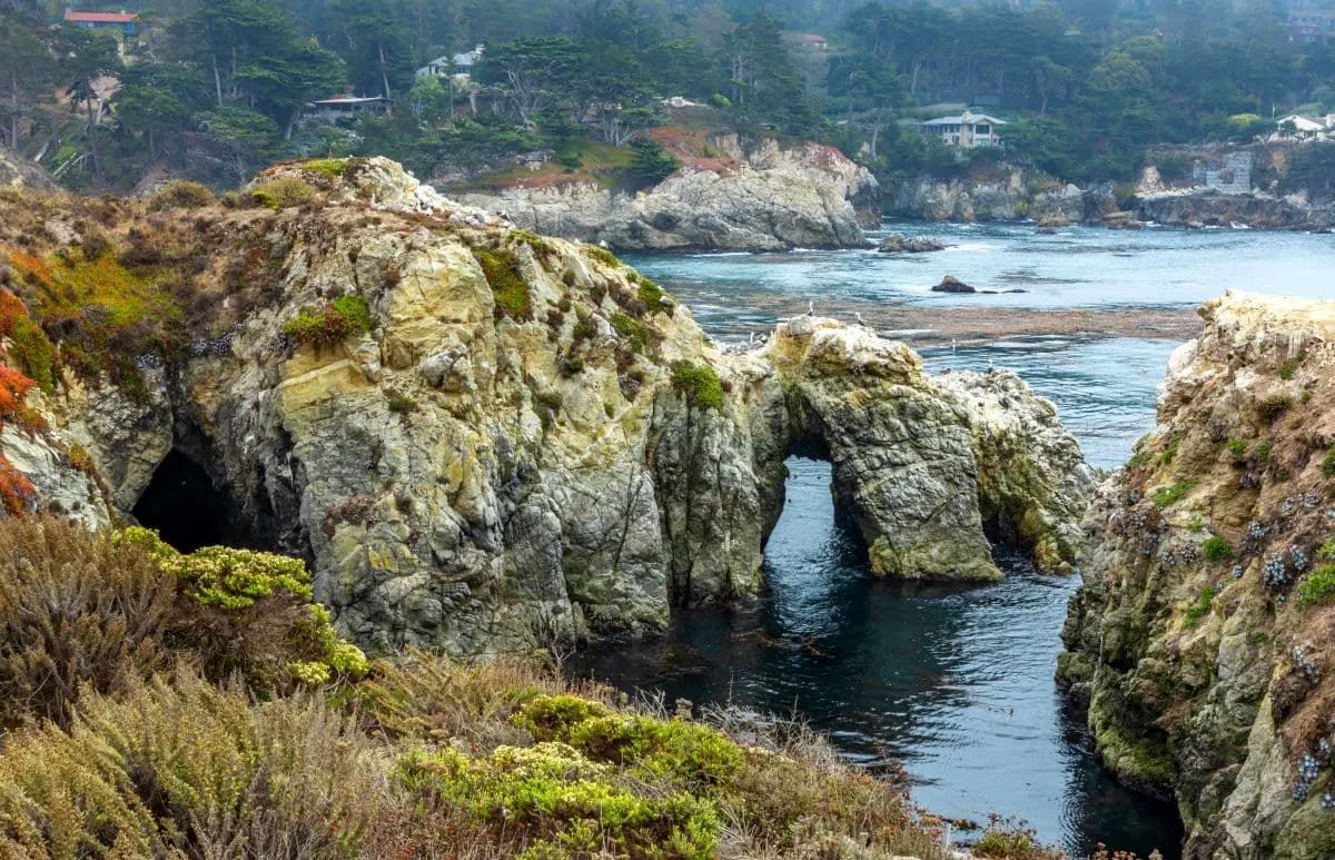 Point Lobos State Natural Reserve rocky coastline.