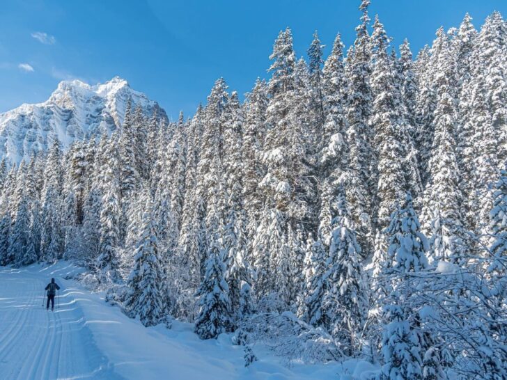 Cross-country skier in Banff National Park.