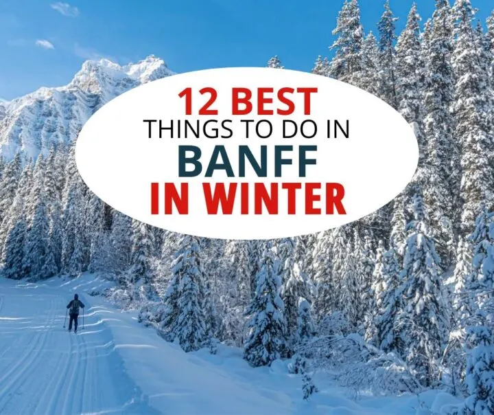 12 Best things to do in Banff in winter, including cross-country skiing.