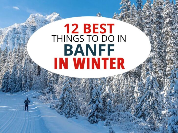 Cross-country skier on a trail in Banff alongside snow covered evergreen trees; text: 12 Best things to do in Banff in winter.