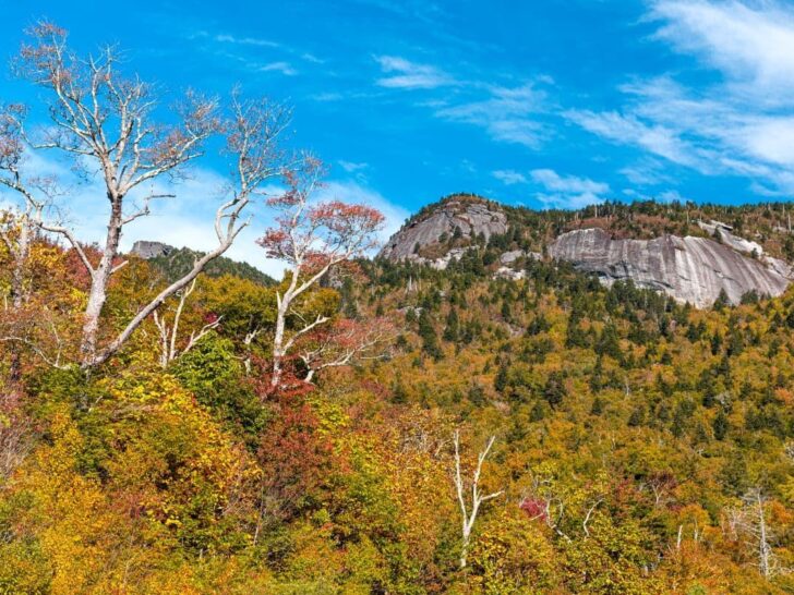 Grandfather Mountain NC.
