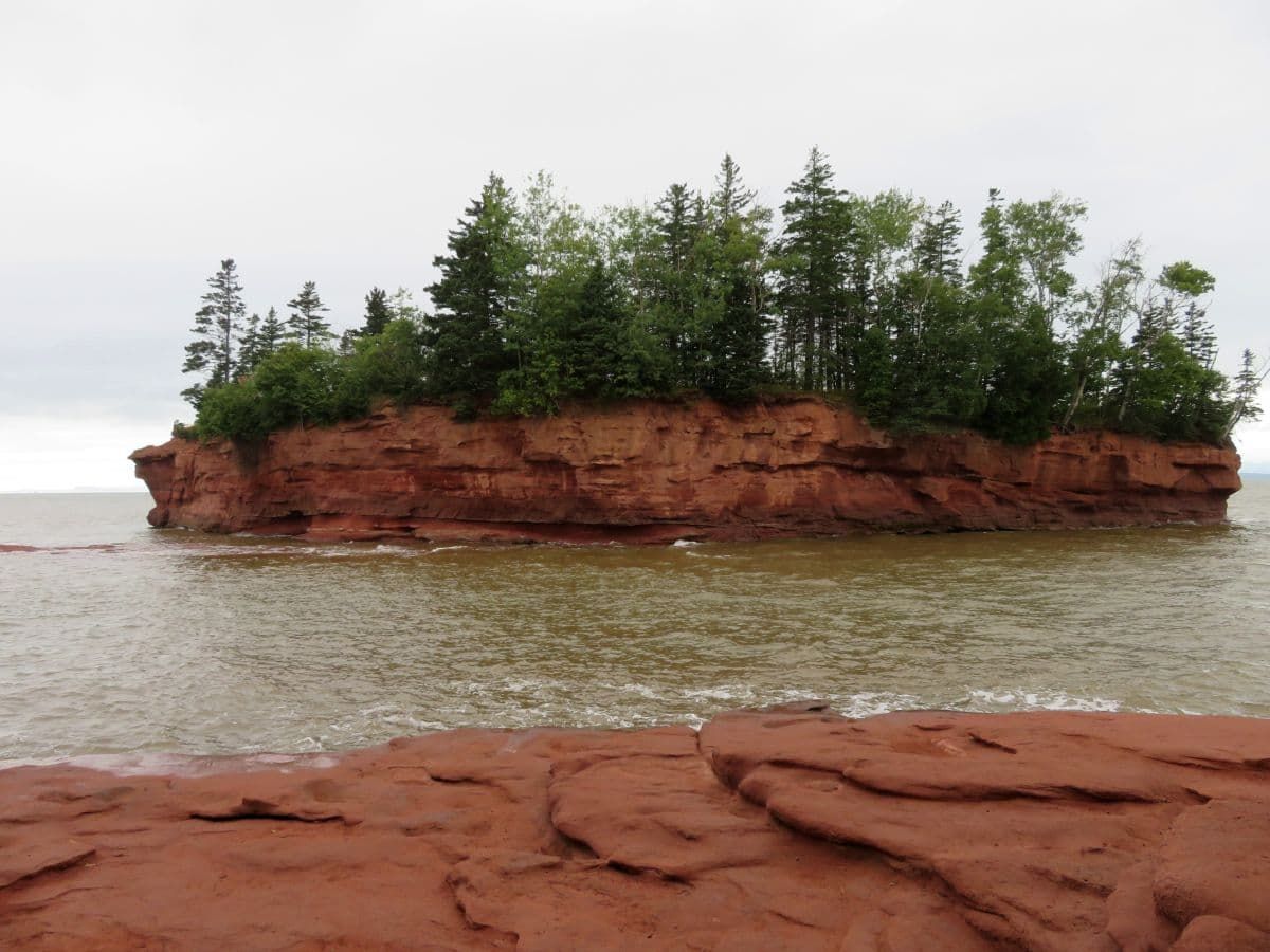 Bay of Fundy high tide at Burntcoat Head Park.