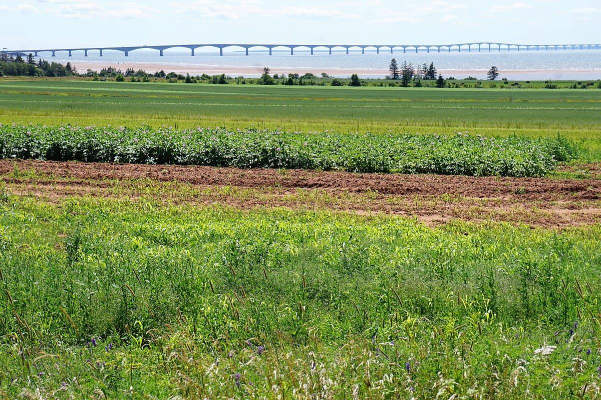 Confederation Bridge PEI.