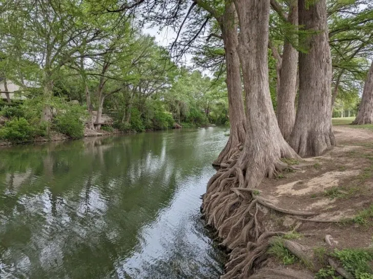 Cypress Bend Park New Braunfels.