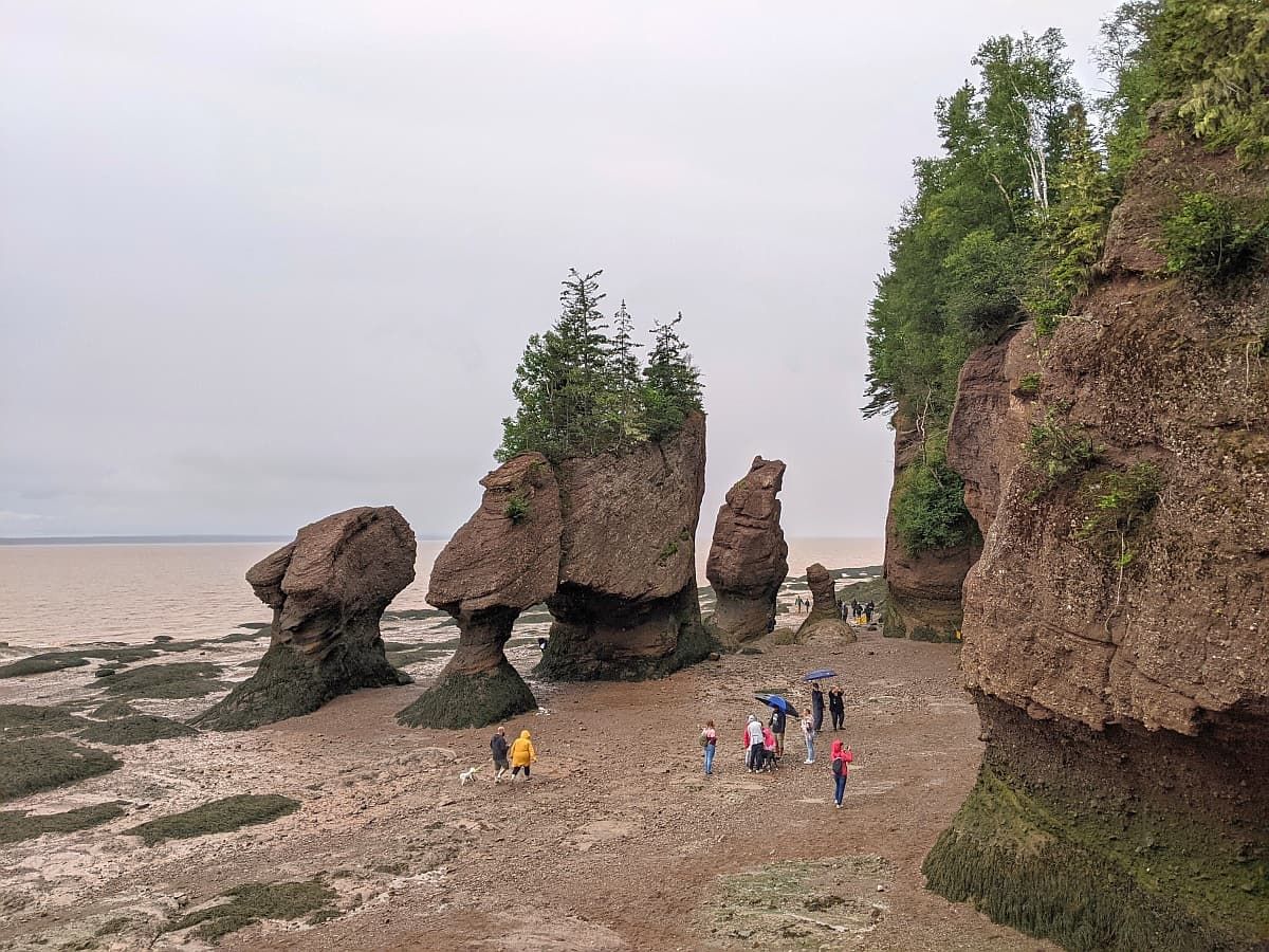 Visitors to Hopewell Rocks Bay of Fundy walking on the ocean floor.