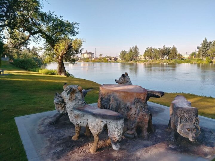 Wooden benches shaped like wolves around a tree stump table at Idaho Falls river walk.