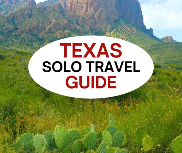 Graphic for Texas Solo Travel Guide overlayed on a scenic view of cactus and mountains at Big Bend National Park.