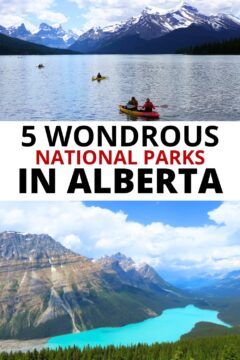 Kayakers paddling Maligne Lake Jasper with snowcapped mountains in background; Turquoise color, fox-shaped Peyto Lake in Banff National Park; text: 5 Wondrous national parks in Alberta.